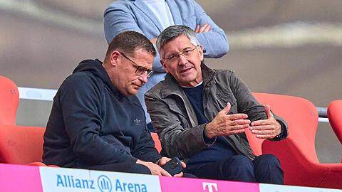 穆西亚拉+比朔夫，拜仁版齐达内+帕文？